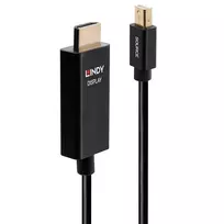 Lindy 40921 vaizdo kabelio adapteris 1 m Mini DisplayPort HDMI Juoda