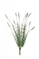 Kwiatydonice Nežinomas Dirbtinė gėlė, levanda, mėlyna sp., 49 cm