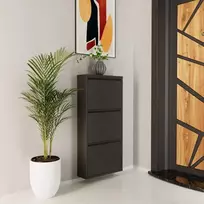 Batų spintelė, „Hanah Home“, antracito spalvos, 50 x 103 x 15