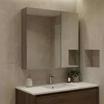 Vonios spintelė su veidrodžiu, Hanah Home, tamsaus riešuto spalvos, 60 x 66 x 16