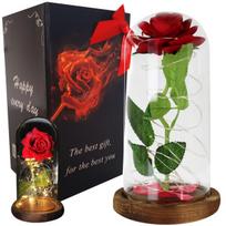 Amžina rožė stikle Red Rose