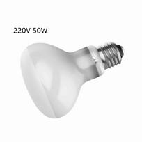 25/50/75/100W Dienos šviesos šildymo lemputė E27 Deginimosi lempa Naminių gyvūnų reikmenys UVA lempa Akvariumas day 220V50W white
