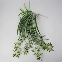 Dirbtiniai augalai pakabinami ant sienos Chlorophytum vazoniniai žalieji augalai PVC netikri augalai modeliavimas gėlė Svetainės dekoras 65cm gray