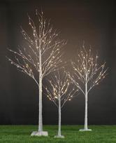 Dekoratyvinė LED beržo formos eglutė 150 cm, balta, šaltos šviesos
