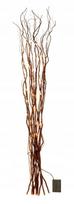 LED šviečiančių gluosnio šakelių rinkinys, 2 vnt., 120 cm, rudos spalvos, 3xAA