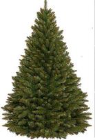 Dirbtinė eglutė PREMIUM, 220 cm, natūralios išvaizdos