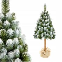 Dirbtinė eglutė DIAMOND PINE su kamienu, 180 cm, tanki, snieguota