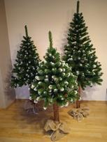 Dirbtinė eglutė ant kamieno Pine Diamond, su sniego efektu, aukštis 120 cm, kamienas 25 cm