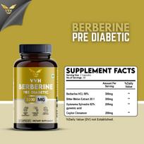VVH Berberine with Bitter Melon, Gymnema & Cinnamon – 1000mg | Supports Healthy Sugar & Lipid Metabolism | 60 Capsules