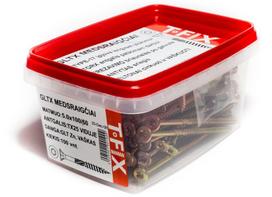 Medvaržčiai GLT Torx 6.0x80/40
