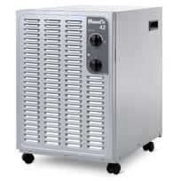 SW42FM Oro sausintuvas Wood's - metalo spalva