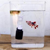 Tylus mini vandens pneumatinis filtras žuvų dubens akvariumui white