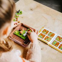 Smart Games Voveraitės renka riešutus!
