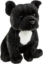 Juodas pliušinis šuo Pitbulis/amstaff 30 cm