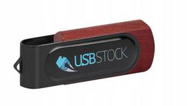 USB laikmena Reklaminis usb atmintukas su logotipu pd-6 wood doming 8gb su spauda, 10 vnt.
