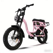 AVDL Electric bike fat bike t7 20, 250 w, 48 v, 18 ah, long autonomy, for two passengers