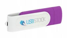 USB laikmena Usb reklaminis pendrive pd-6 otg-c doming full color 64gb graviruotas 10 vnt + nemokamas