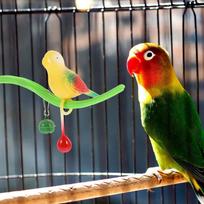 1Set Bird Perch Plastic Stand Parakeet Parrot Cage Rest Play Balance Training Supplies Parakeet Toys Bird Perch black