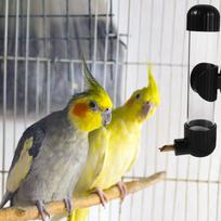 220Ml Parakeet Water Dispenser Automatic Bird Water Feeder - Sturdy Screw Mount Hanging Design for Small Medium Bird Cage gray