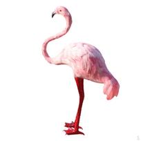 Dirbtinės flamingo statulos figūrėlė, sodo ornamentas, 4 spalvos Looking up Pink pink