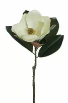 Dirbtinė gėlė, magnolija, balta sp., 71 cm