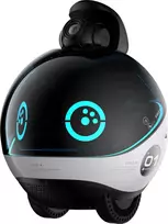 Family Robot Ebo X Black/Gray