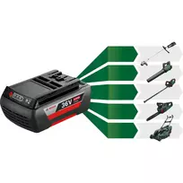 Bosch starter set 36V (GBA 36V 6.0Ah + AL 36V-20), charger (black, 36V