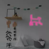 SNL70PK Style Neon Lights CAT 2 Pink