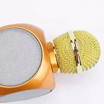 WS-1816 16W karaoke BT microphone with LED 360 Gold