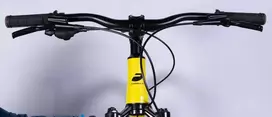 ZEPHYR 1.0 DD CS 29" 21" Black/Yellow