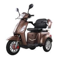 MOTOROLERIS ELEKTRINIS TRIRATIS 1000W