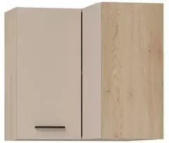 Liveo Pakabinama spintelė PATI PK10/G60NW90 kampinė L/P