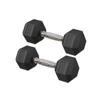 Hantelių rinkinys SONGMICS, 2 vnt., 10 kg, 28 × 10,5 × 9,5 cm