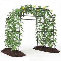 U formos metalinė arka vijokliniams augalams, PE danga, 181 x 190-245 x 230 cm, juoda