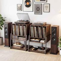 Vinilo plokštelių spintelė, 4 skyriai, Ruda, 54 × 76,5 × 57 cm