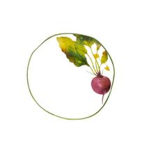 Lėkštė desertinė Homla Skord Beetroot, 20 cm x 20 cm, balta sp./žalia sp./rožinė sp.