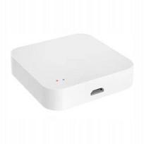 Išmanusis namų valdiklis G01 Pro ZigBee 3.0, WiFi, Bluetooth, kelių režimų vartai