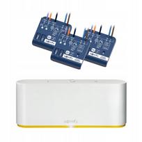 Išmaniųjų namų apšvietimo valdiklis Somfy TaHoma Switch su 3 Izymo imtuvais