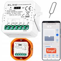Wi-Fi relė be įtampos, suderinama su TUYA SMART, RF valdymas