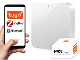 Vartų valdymo pultas ZigBee 3.0, Bluetooth, WiFi, TUYA SMART LIFE