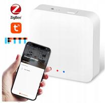 Išmanusis vartų valdiklis GATE, ZigBee 3.0, Bluetooth, WiFi, suderinamas su Tuya Smart Life
