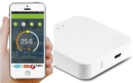 Vartų valdymo modulis ZigBee WiFi TUYA SMART
