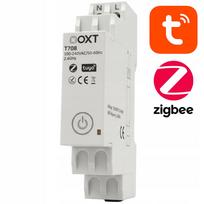 ZigBee vartai DIN bėgiui, WiFi, TUYA Smart Life, OXT