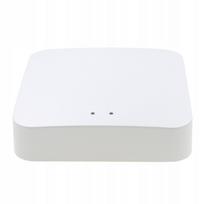 IMZ ZigBee 3.0 išmanusis namų valdiklis Tuya