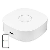Išmanusis tinklo modulis Heiman WS2GW-R WiFi