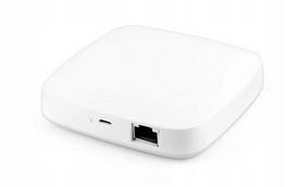 Zigbee 3.0 valdymo modulis GATE su Ethernet LAN, suderinamas su Tuya Smart Life