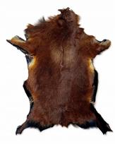 Avių kailis CAMERIAN, tamsiai rudos spalvos, 70 cm, natūralus