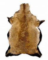 Avikailis CAMERIAN, šviesiai rudas, 120 cm, natūralus