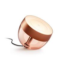 Philips Hue Iris Special Edition, vario spalvos - Išmanioji lemputė