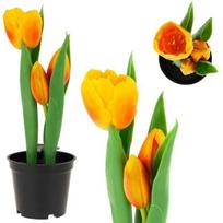 Dirbtinės tulpės vazonėlyje, oranžinės